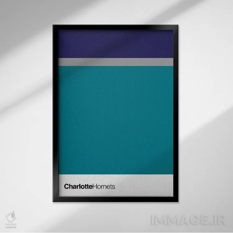 تابلو بسکتبال شارلوت هورنتس اثر آویسیکس - نمای قابدار مشکی