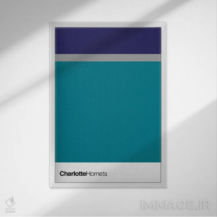 تابلو بسکتبال شارلوت هورنتس اثر آویسیکس - نمای قابدار سفید