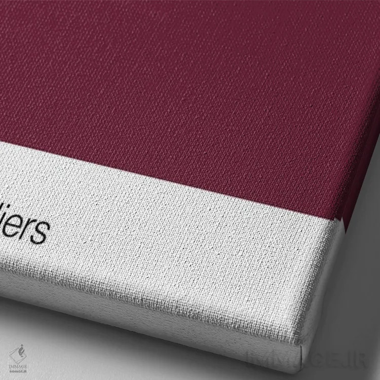 تابلو بسکتبال کلیولند کاوالیرز اثر آویسیکس - نمای نزدیک بافت بوم