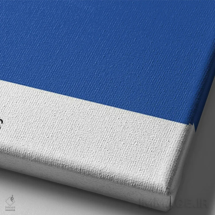 تابلو بسکتبال دالاس ماوریکس اثر آویسیکس - نمای نزدیک بافت بوم