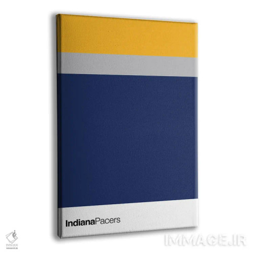 تابلو بسکتبال ایندیانا پیسرز اثر آویسیکس - نمای پرسپکتیو محصول