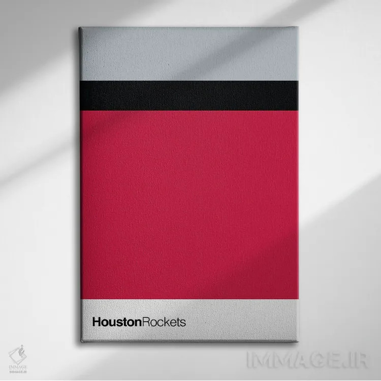تابلو بسکتبال هیوستون راکتس اثر آویسیکس - نمای روبهرو روی دیوار