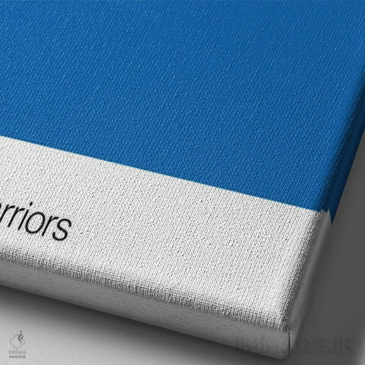 تابلو بسکتبال گلدن استیت وریرز اثر آویسیکس - نمای نزدیک بافت بوم