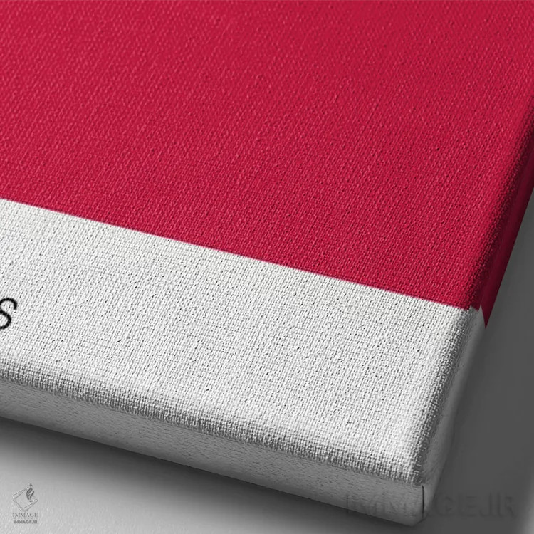 تابلو بسکتبال هیوستون راکتس اثر آویسیکس - نمای نزدیک بافت بوم