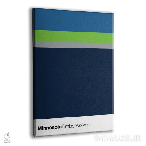 تابلو بسکتبال مینهسوتا تیمبرولوز اثر آویسیکس - نمای پرسپکتیو محصول