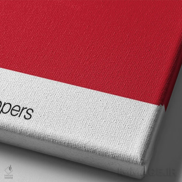 تابلو بسکتبال لسآنجلس کلیپرز اثر آویسیکس - نمای نزدیک بافت بوم