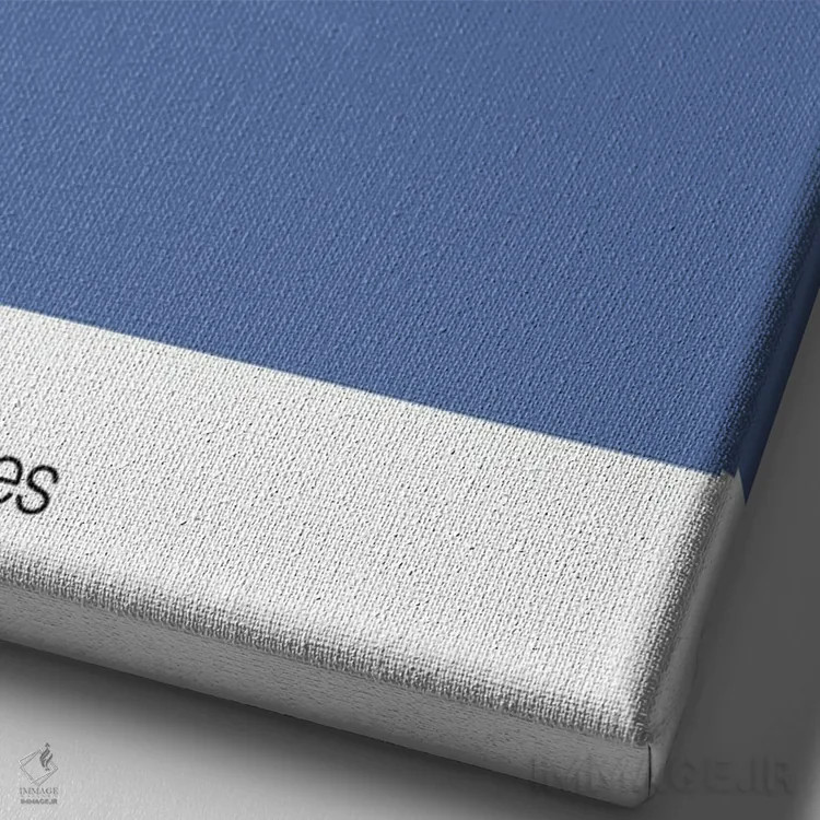 تابلو بسکتبال ممفیس گریزلیز اثر آویسیکس - نمای نزدیک بافت بوم