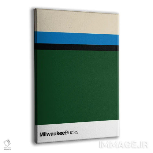 تابلو بسکتبال میلواکی باکس اثر آویسیکس - نمای پرسپکتیو محصول