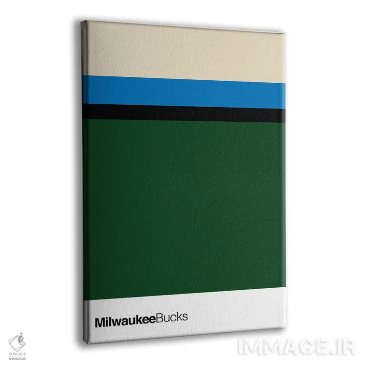تابلو بسکتبال میلواکی باکس اثر آویسیکس - نمای پرسپکتیو محصول