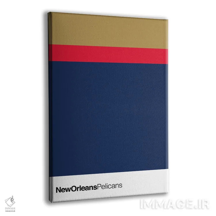 تابلو بسکتبال نیواورلئان پلیکانز اثر آویسیکس - نمای پرسپکتیو محصول