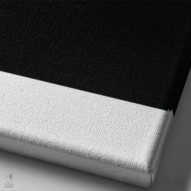 تابلو بسکتبال میامی هیت اثر آویسیکس - نمای نزدیک بافت بوم