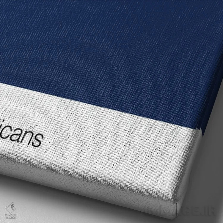 تابلو بسکتبال نیواورلئان پلیکانز اثر آویسیکس - نمای نزدیک بافت بوم