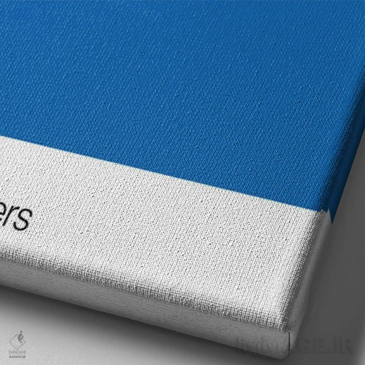 تابلو بسکتبال فیلادلفیا 76رز (تیم NBA) اثر آویسیکس - نمای نزدیک بافت بوم