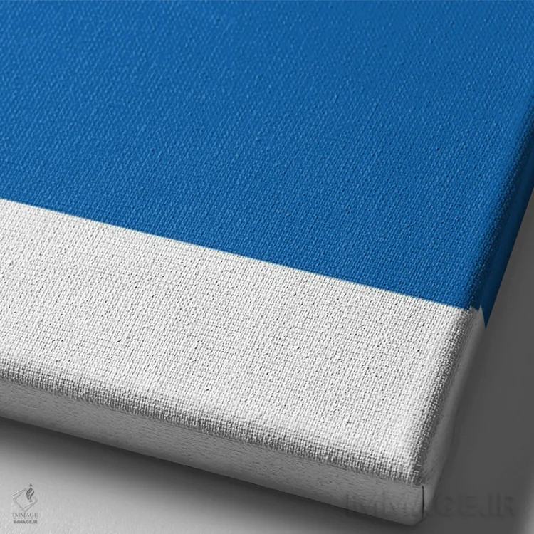 تابلو بسکتبال نیویورک نیکس اثر آویسیکس - نمای نزدیک بافت بوم