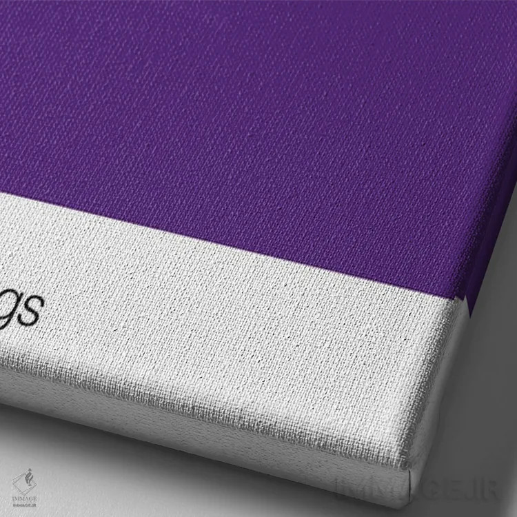 تابلو بسکتبال ساکرامنتو کینگز (تیم NBA) اثر آویسیکس - نمای نزدیک بافت بوم