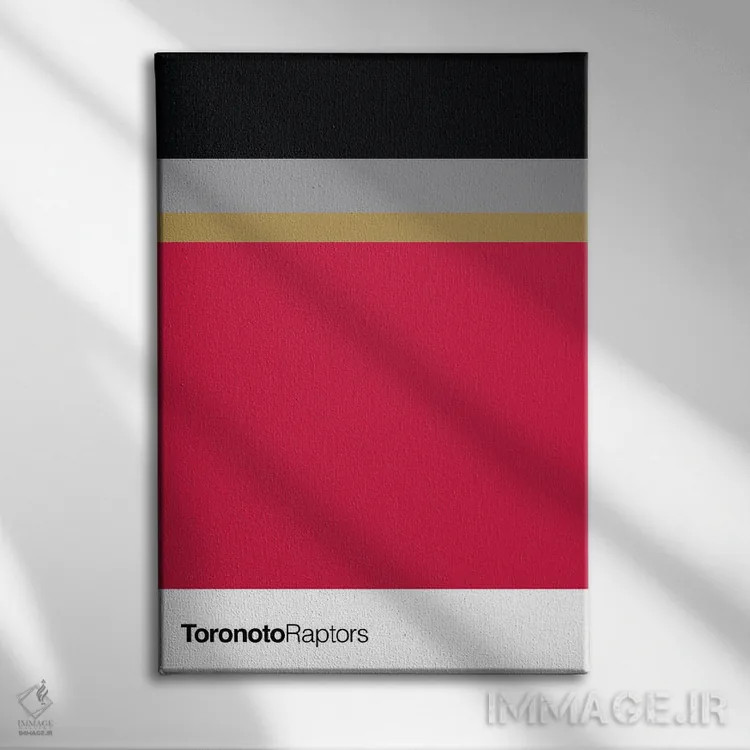 تابلو بسکتبال تورنتو رپترز (تیم NBA) اثر آویسیکس - نمای روبهرو روی دیوار