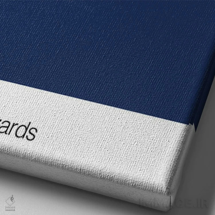 تابلو بسکتبال واشنگتن ویزاردز (تیم NBA) اثر آویسیکس - نمای نزدیک بافت بوم