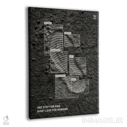 تابلو فرود بر ماه اثر آویسیکس - نمای پرسپکتیو محصول