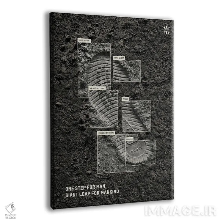 تابلو فرود بر ماه اثر آویسیکس - نمای پرسپکتیو محصول