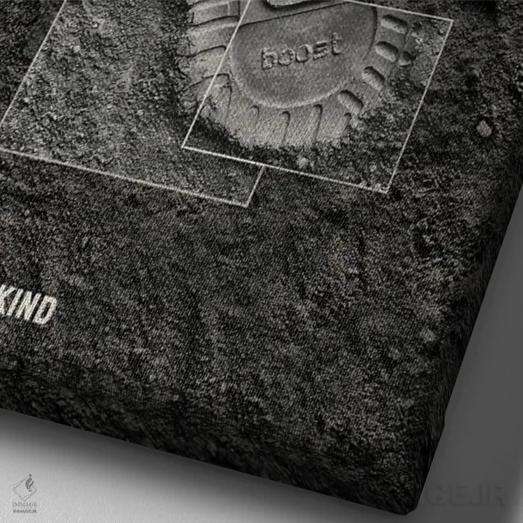 تابلو فرود بر ماه اثر آویسیکس - نمای نزدیک بافت بوم