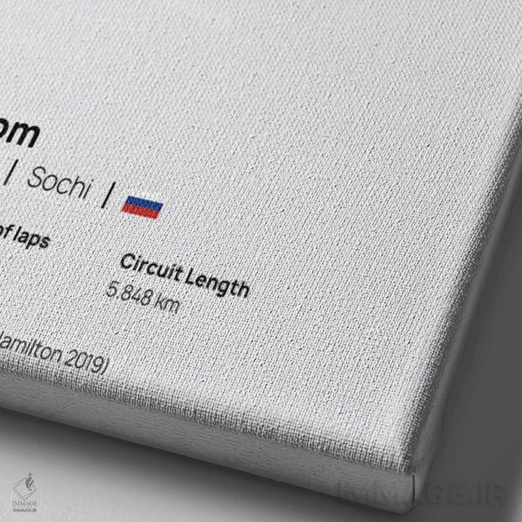 تابلو فرمول یک - اتودروم سوچی اثر آویسیکس - نمای نزدیک بافت بوم