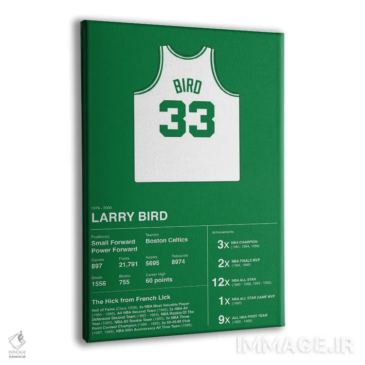 تابلو آمار حرفهای لری برد (بسکتبال) اثر آویسیکس - نمای پرسپکتیو محصول