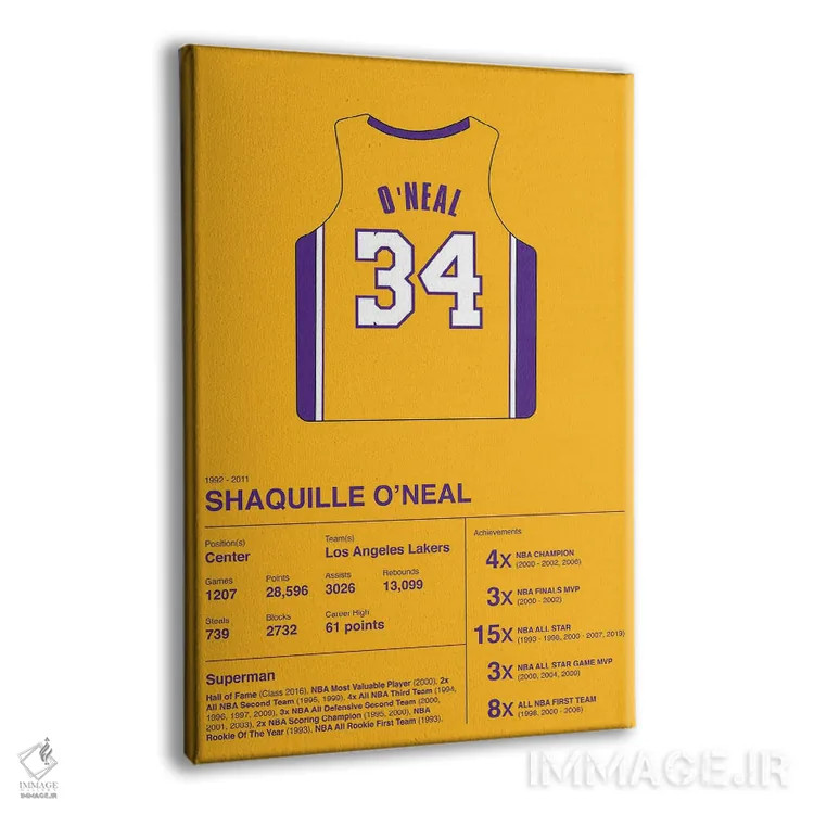 تابلو آمار حرفهای شکیل اونیل (بسکتبال) اثر آویسیکس - نمای پرسپکتیو محصول