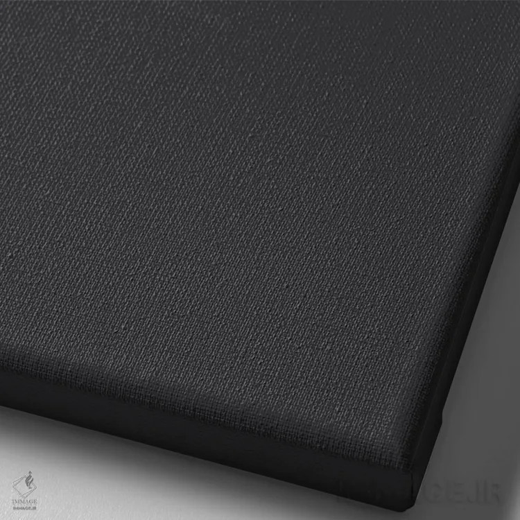 تابلو آستون مارتین DB5 اثر آویسیکس - نمای نزدیک بافت بوم