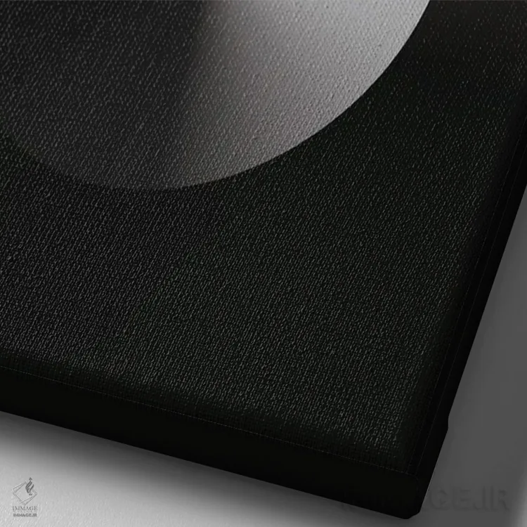 تابلو پسزمینهٔ گرباورها S شکل (مشکی) اثر آویسیکس - نمای نزدیک بافت بوم