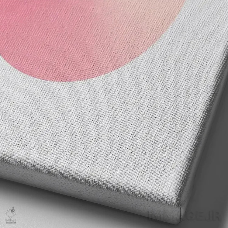 تابلو پسزمینهٔ سفید S شکل (صورتی) اثر آویسیکس - نمای نزدیک بافت بوم