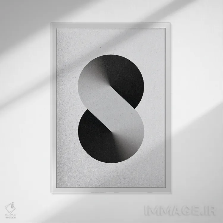 تابلو پسزمینهٔ سفید S شکل (مشکی) اثر آویسیکس - نمای قابدار سفید