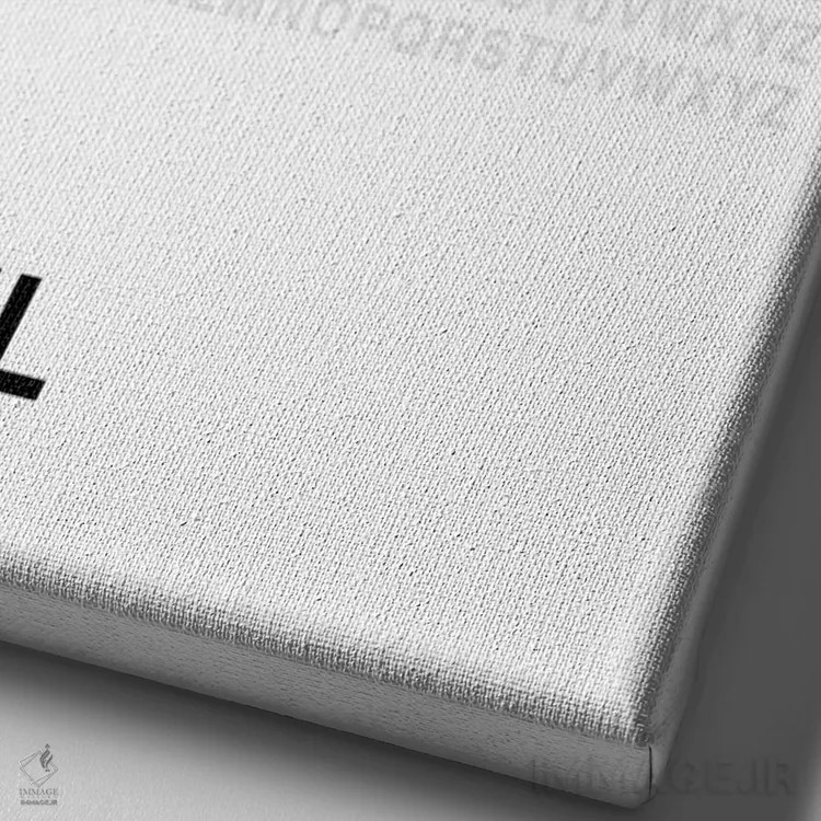 تابلو سئول (سفید) اثر آویسیکس - نمای نزدیک بافت بوم