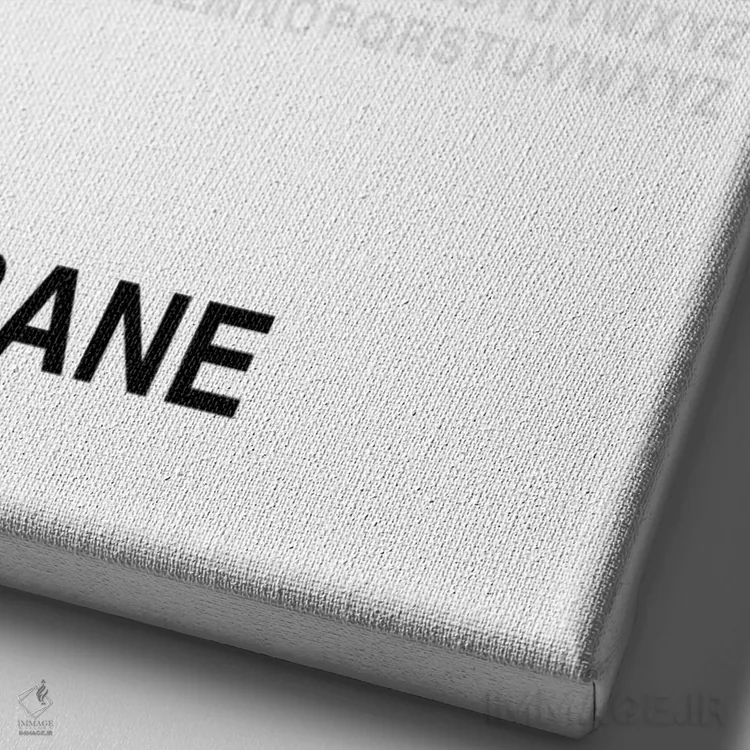 تابلو بریزبین (سفید) اثر آویسیکس - نمای نزدیک بافت بوم