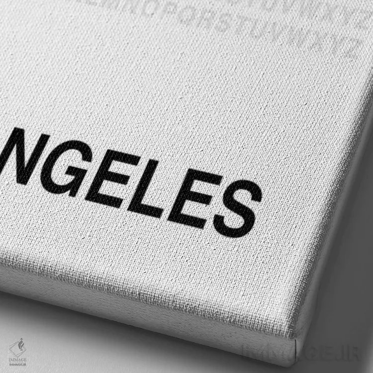 تابلو لسآنجلس (سفید) اثر آویسیکس - نمای نزدیک بافت بوم