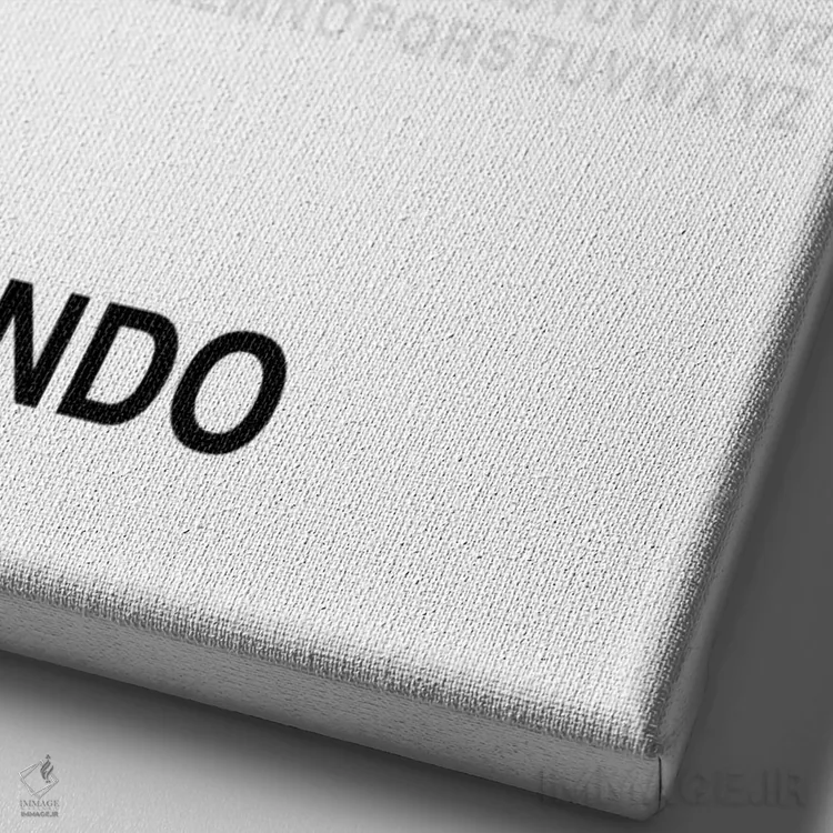 تابلو اورلاندو (سفید) اثر آویسیکس - نمای نزدیک بافت بوم