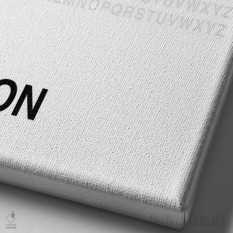 تابلو بوستون (سفید) اثر آویسیکس - نمای نزدیک بافت بوم