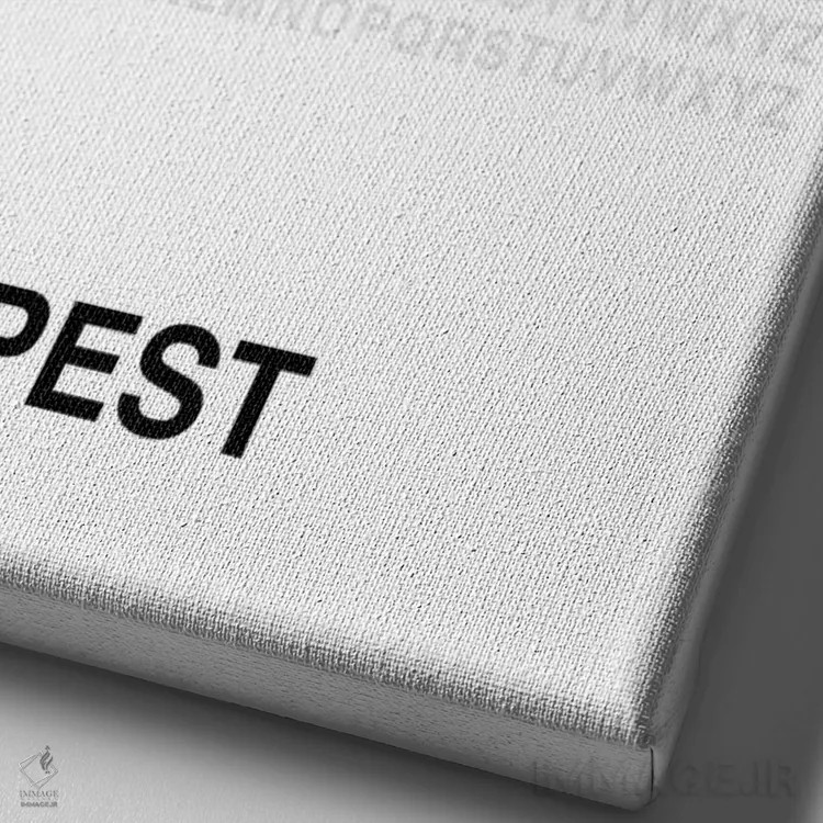 تابلو بوداپست (سفید) اثر آویسیکس - نمای نزدیک بافت بوم