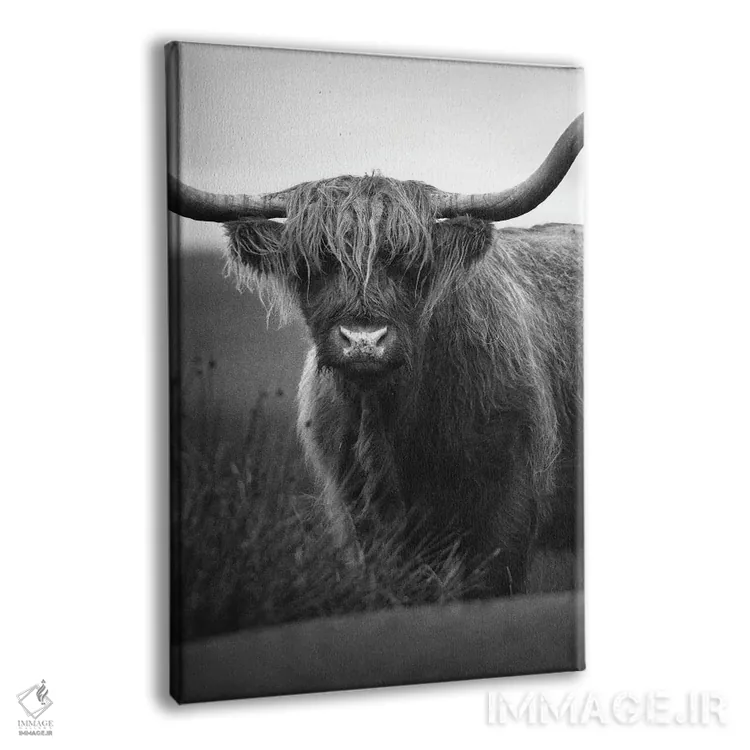 تابلو گاوهای کوهستانی اثر آرسی بسی - نمای پرسپکتیو محصول