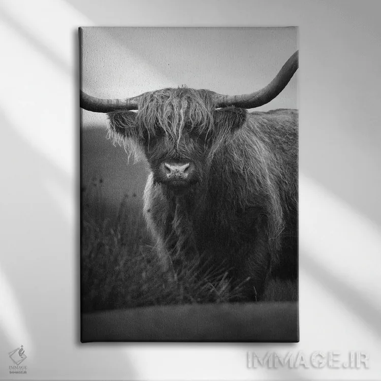 تابلو گاوهای کوهستانی اثر آرسی بسی - نمای روبهرو روی دیوار