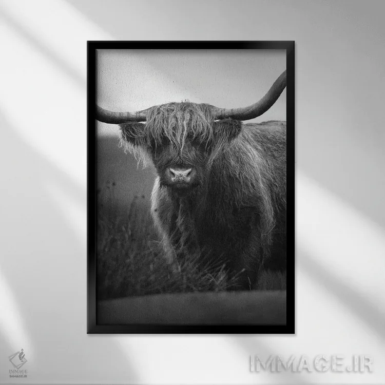 تابلو گاوهای کوهستانی اثر آرسی بسی - نمای قابدار مشکی