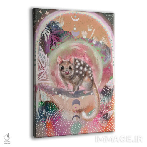 تابلو کوال (جانور گوشتخوار استرالیایی) اثر امبر سامرست - نمای پرسپکتیو محصول