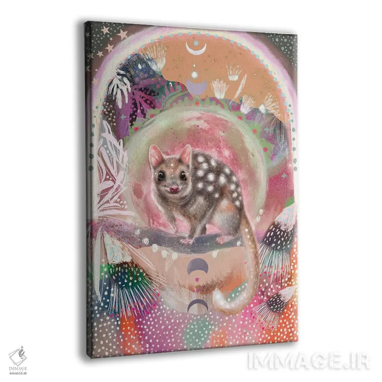 تابلو کوال (جانور گوشتخوار استرالیایی) اثر امبر سامرست - نمای پرسپکتیو محصول