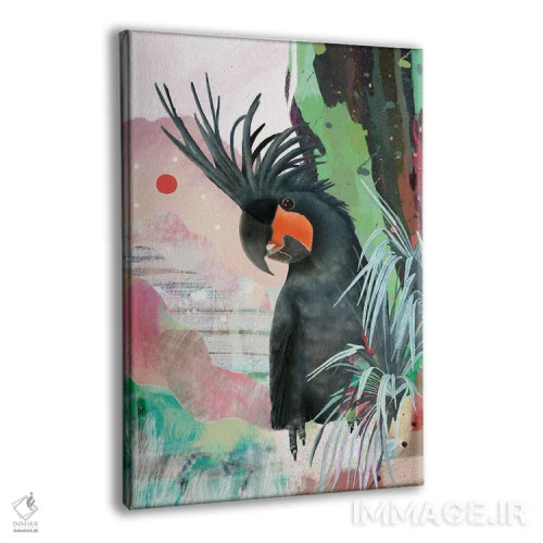 تابلو کاکاتوی کفدست سیاه اثر امبر سامرست - نمای پرسپکتیو محصول