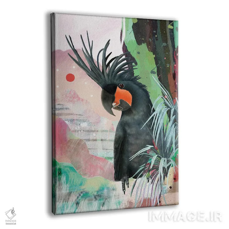 تابلو کاکاتوی کفدست سیاه اثر امبر سامرست - نمای پرسپکتیو محصول