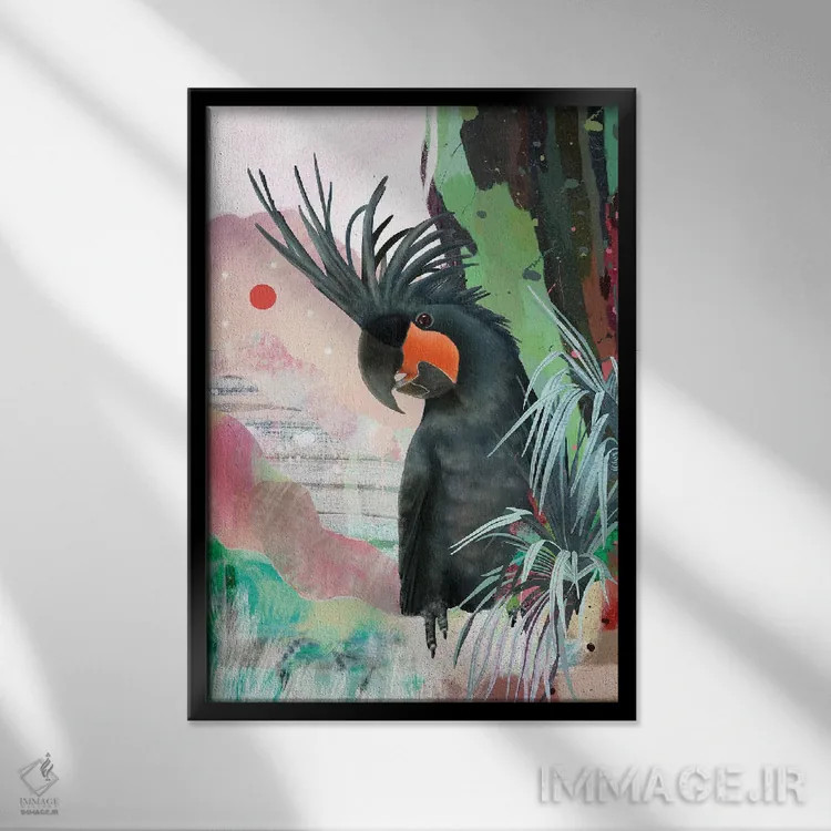 تابلو کاکاتوی کفدست سیاه اثر امبر سامرست - نمای قابدار مشکی