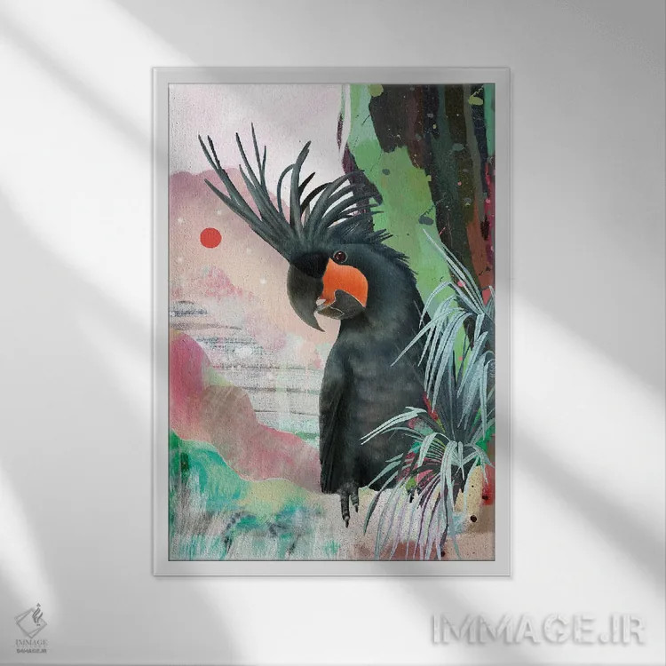 تابلو کاکاتوی کفدست سیاه اثر امبر سامرست - نمای قابدار سفید