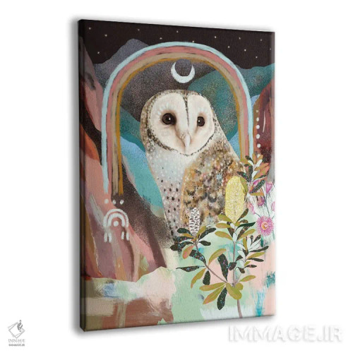 تابلو جغد نقابدار استرالیایی اثر امبر سامرست - نمای پرسپکتیو محصول