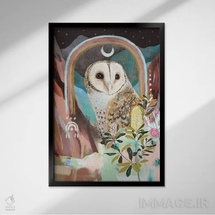 تابلو جغد نقابدار استرالیایی اثر امبر سامرست - نمای قابدار مشکی