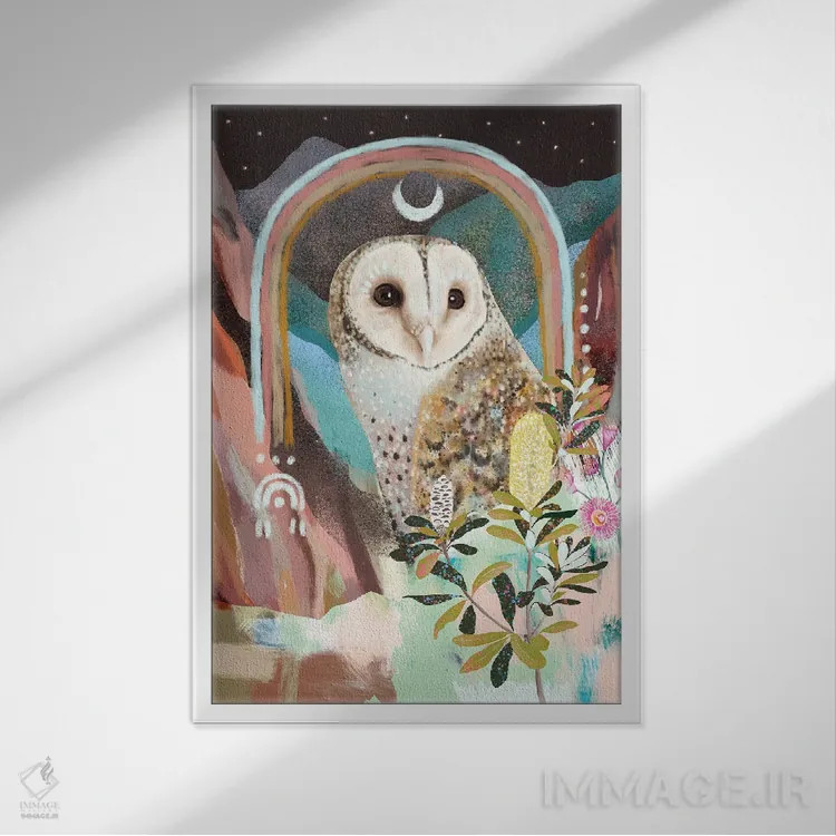 تابلو جغد نقابدار استرالیایی اثر امبر سامرست - نمای قابدار سفید