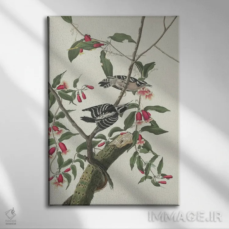 تابلو 1831,دارکوب نرمپر ۱۸۳۱ اثر جان جیمز آدوبون (نقاش و پرندهشناس) - نمای روبهرو روی دیوار